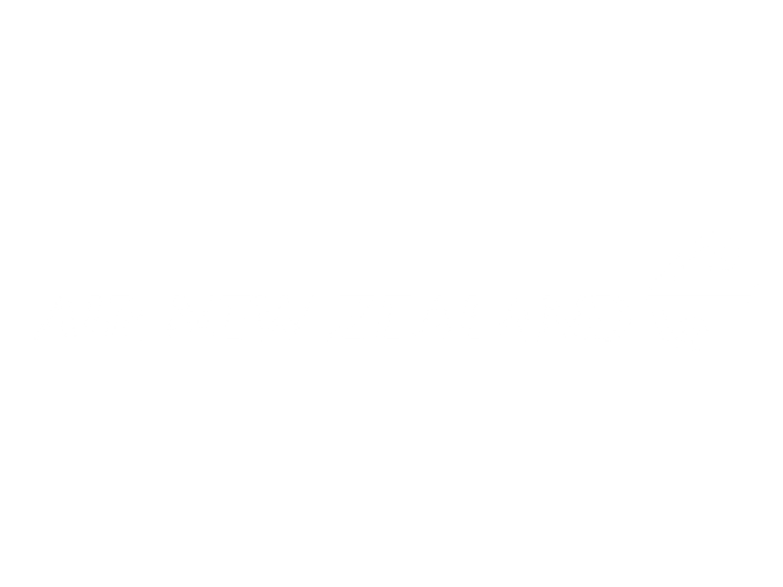 LGNZ25 Air New Zealand